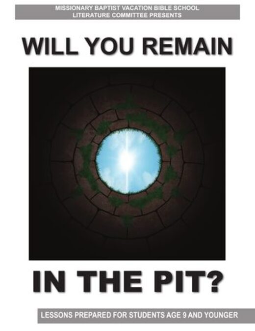 Will You Remain in the Pit? cover